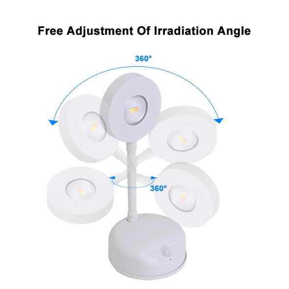 Night Light Motion Sensor Light Wireless